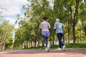 射雕手游百炼寻隐禅隐寻踪攻略