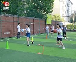 罗马诺谈弗拉霍维奇丨米兰不会给高薪